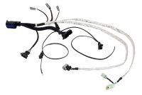 AEM: Infinity ECU Plug & Play Harnesses