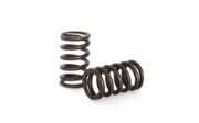 Kelford:NISSAN RB25 NEO BEEHIVE SPRING AND TI RETAINER SET