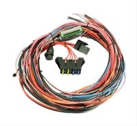 AEM: EMS-4 Programmable Engine Management System Wire Harness